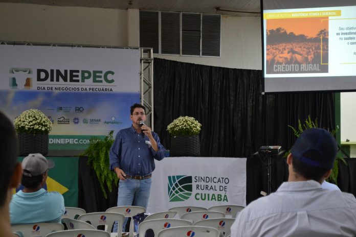 Com assistência técnica na gestão, pecuaristas podem ter melhores resultados do trabalho do campo