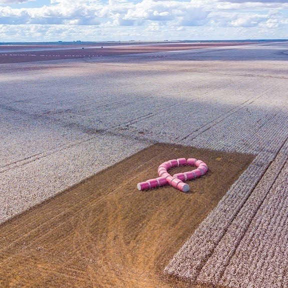 algodão rosa abapa