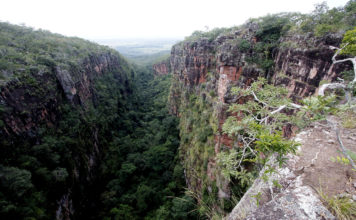 Mato Grosso é grande demais? Os desafios e vantagens de um gigante brasileiro