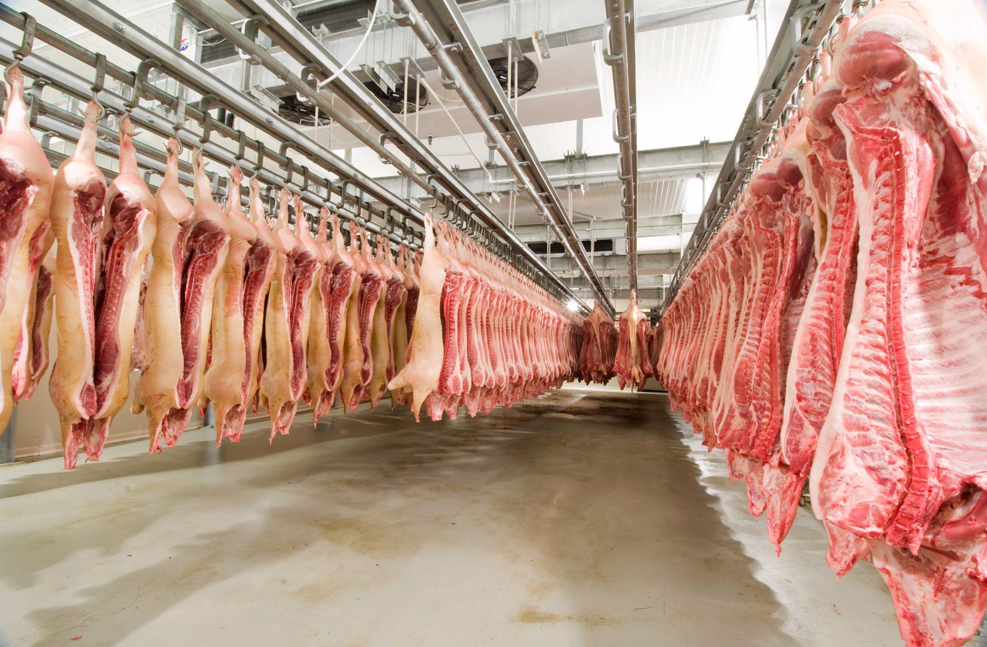 Acrismat comemora liberação do mercado russo pra carne suína