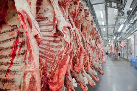 Exportações de carne bovina brasileira crescem 35% em maio