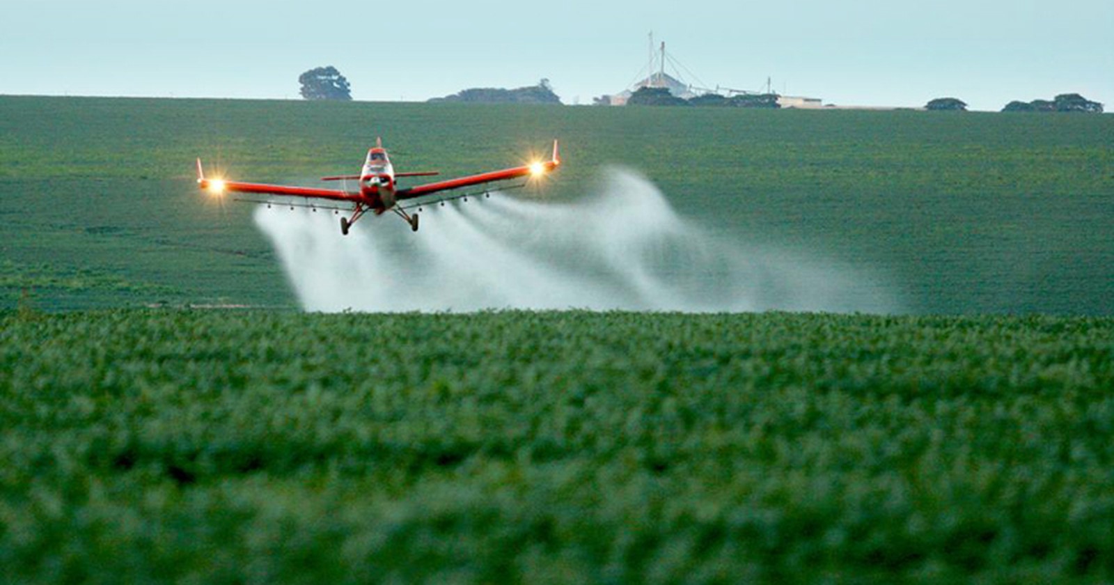 Anvisa vai reclassificar defensivos agrícolas que estão no mercado