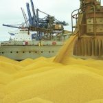 Supremo forma maioria a favor de lei que veta a moratória da soja em Mato Grosso