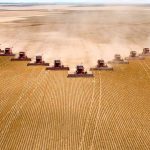 Brasil abriu mais de 500 mercados internacionais para o agro desde 2023