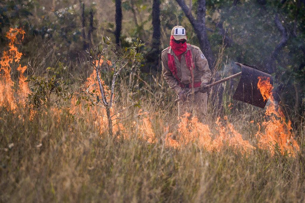 Governo de MT prorroga período proibitivo para queimadas até 30 de novembro