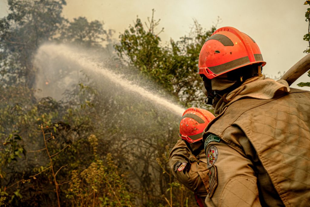 Idoso é preso após ser visto colocando fogo em matagal na beira de estrada