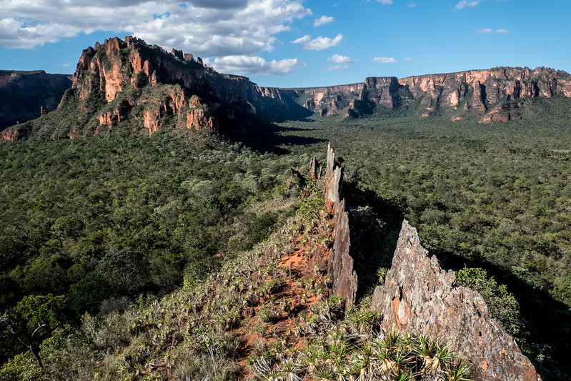 Justiça publica que acata, mas decisão indefere pedido da MT Par para permanecer na disputa pelo Parque de Chapada