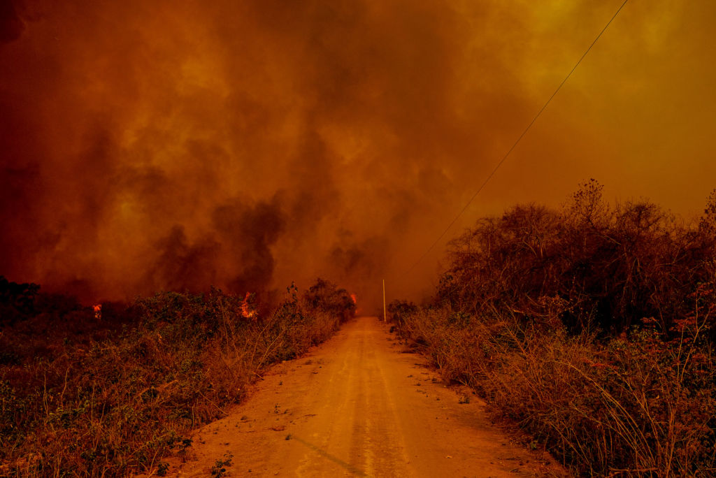 Pantanal: veja o quanto o fogo já invadiu o Parque Encontro das Águas