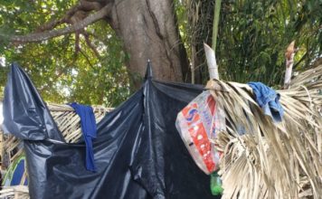 Operação retira 25 pessoas em trabalho análogo a escravidão em propriedade rural no norte de MT