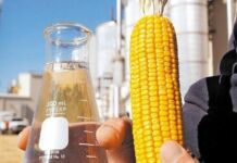 Os conflitos no Oriente Médio e as oportunidades para o Brasil