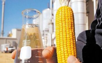 Os conflitos no Oriente Médio e as oportunidades para o Brasil