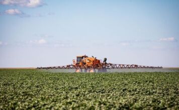 MT puxa alta na estimativa de produção agrícola e consolida liderança nacional