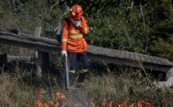 Corpo de Bombeiros combate 15 incêndios florestais neste sábado (30)
