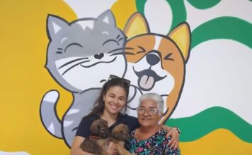 Campanha 20Ver conquista novos lares para cerca de 30 cães