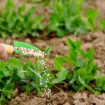 Governo do Estado e UFMT firmam parceria para estudo sobre a cadeia de fertilizantes em MT