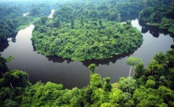 Governo de MT e O.N.E. Amazon firmam convênio de US$ 100 milhões para preservação da Amazônia