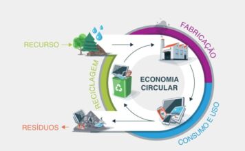 Coleta seletiva: desafios e perspectivas para a sustentabilidade