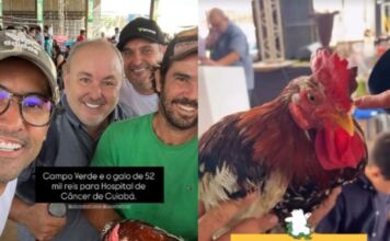 Galo vira estrela de leilão e arrecada R$ 52 mil para o Hospital do Câncer
