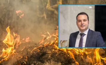 Da reação à prevenção: novos deveres legais do produtor rural em caso de incêndios em sua propriedade