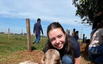 “Moléculas sunscreen” e seu potencial impacto na ciência