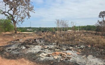 Polícia Civil prende idoso por queimada ilegal em operação contra crimes ambientais em Cuiabá