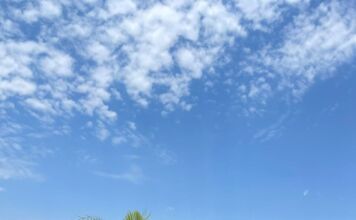 Forz Experience – Fight une treino funcional, artes marciais e solidariedade em Cuiabá