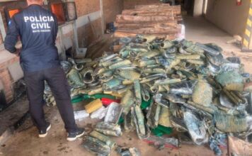 Polícia Civil incinera 2,3 toneladas de entorpecentes em Rondonópolis