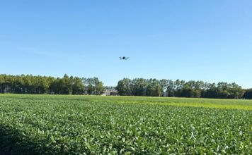 Centro científico da Aprosoja mostra que sustentabilidade também dá lucro