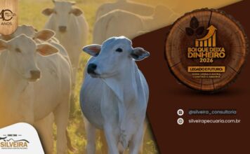 Cuiabá receberá um dos maiores eventos de gestão da pecuária do Brasil