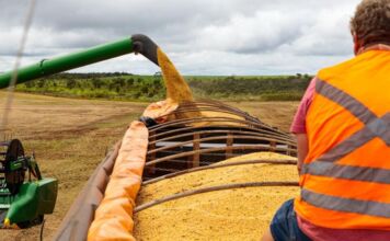 Mato Grosso consolida US$ 30,1 bilhões em exportações e é o 4º maior do Brasil