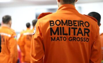 Bombeiros capturam cachorro agressivo após ataque a três menores em MT