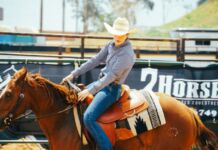 Semana do Cavalo 2026: maior evento equestre do Centro Oeste ganha nova estrutura e shows imperdíveis