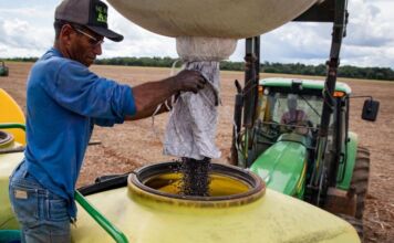 MT abocanha 43% dos novos empregos da agropecuária no Brasil em janeiro
