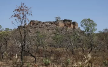 Pesquisa identifica áreas agrícolas abandonadas no Cerrado com uso de inteligência artificial