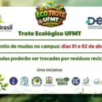 Iteec Brasil promove Trote Ecológico na UFMT com plantio de mudas e incentivo à reciclagem