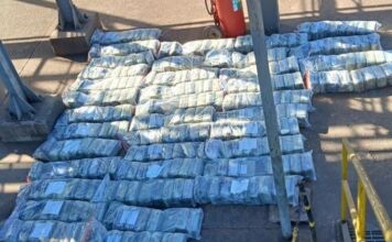 Polícia Civil incinera mais de 1 tonelada de supermaconha em MT