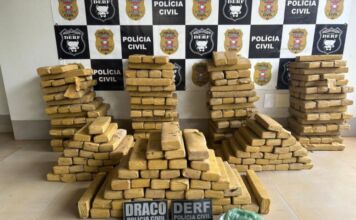 Polícia Civil encontra 305 tabletes de maconha enterrados e prende suspeito