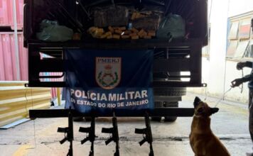 Pastor belga da PM acha bunker com 48 toneladas de maconha no Rio e pode ser o cão policial mais bem-sucedido da história mundial